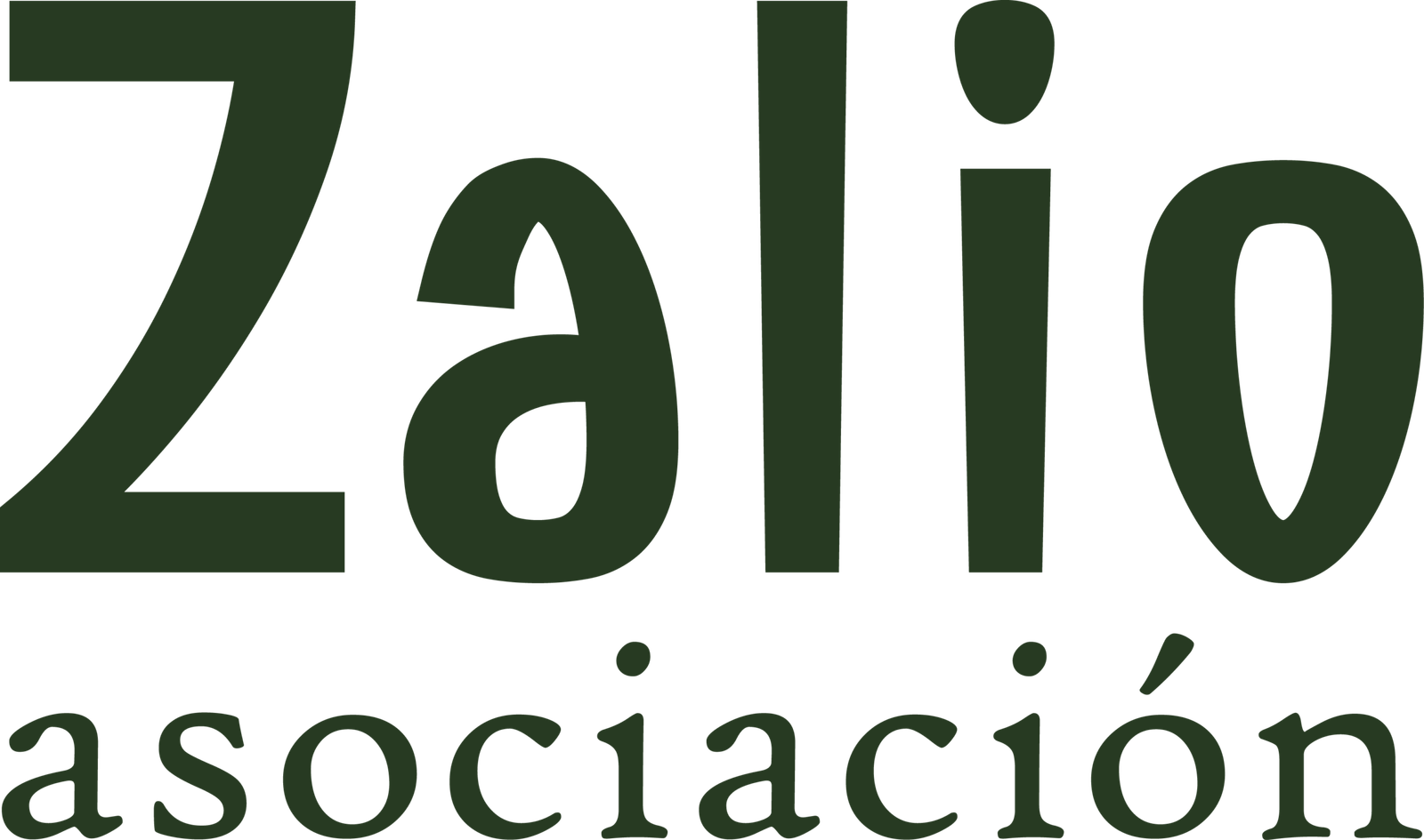 ASOCIACION ZALIO